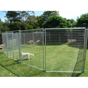 Temporary dog fence