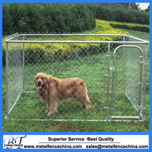 6ft chain link Dog kennel