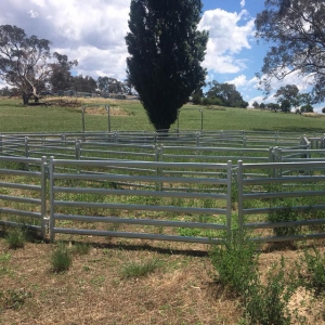 Galvanized Oval Rail Sheep Yards Panels